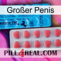Großer Penis new14